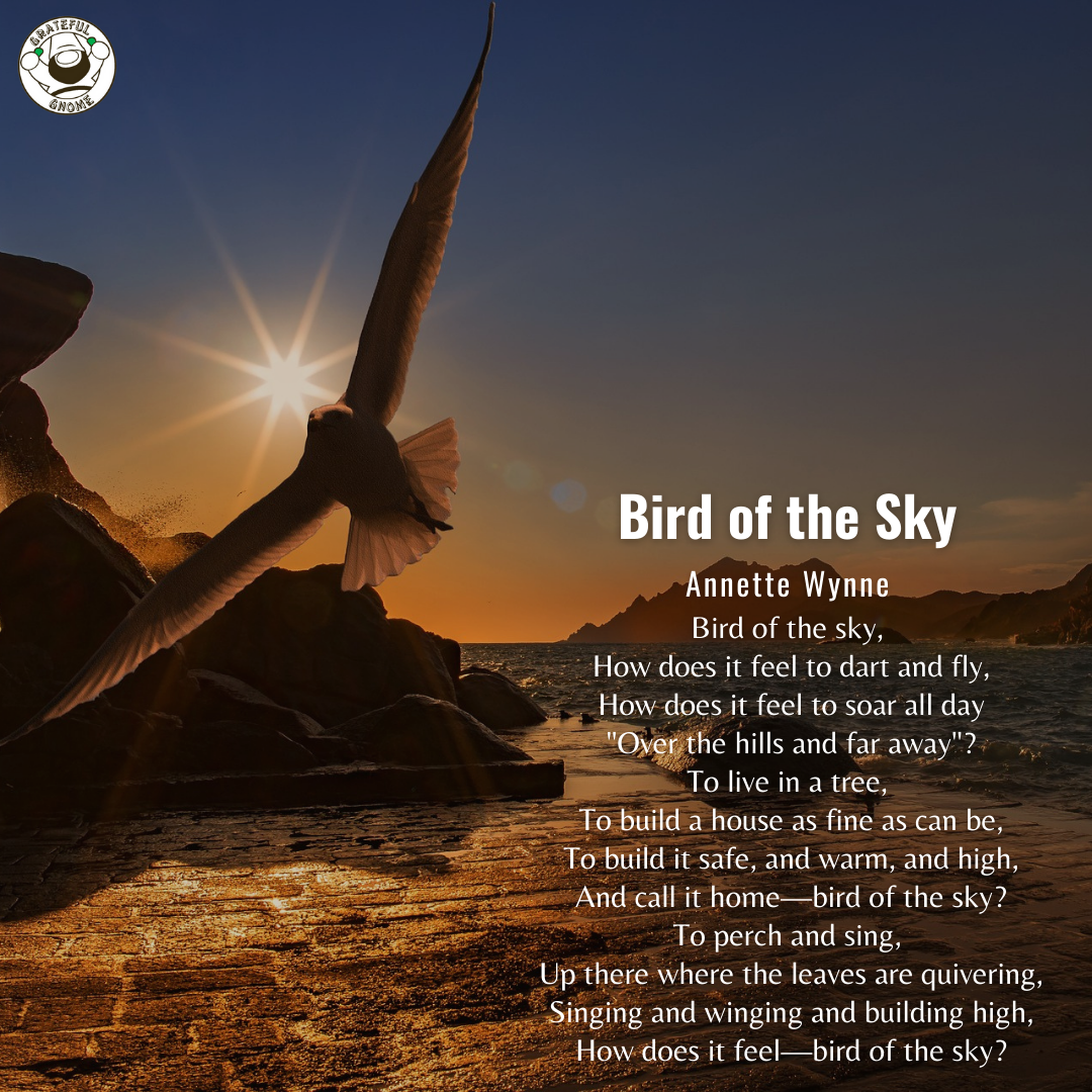 Bird Poems Bird Of The Sky Grateful Gnome