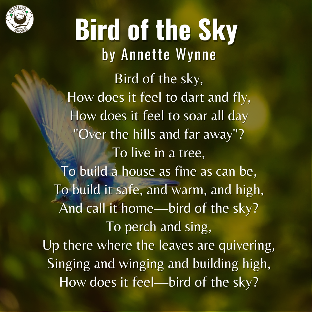 Bird Poems Bird Of The Sky Grateful Gnome