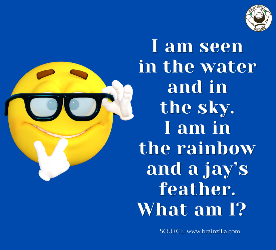 Riddle Time Grateful Gnome