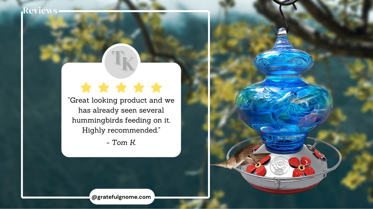 5 Star Review Blue Hummingbird Hummingbird Feeder Grateful Gnome