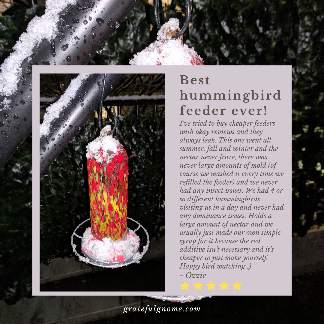 5 Star Hummingbird Feeder Review Grateful Gnome