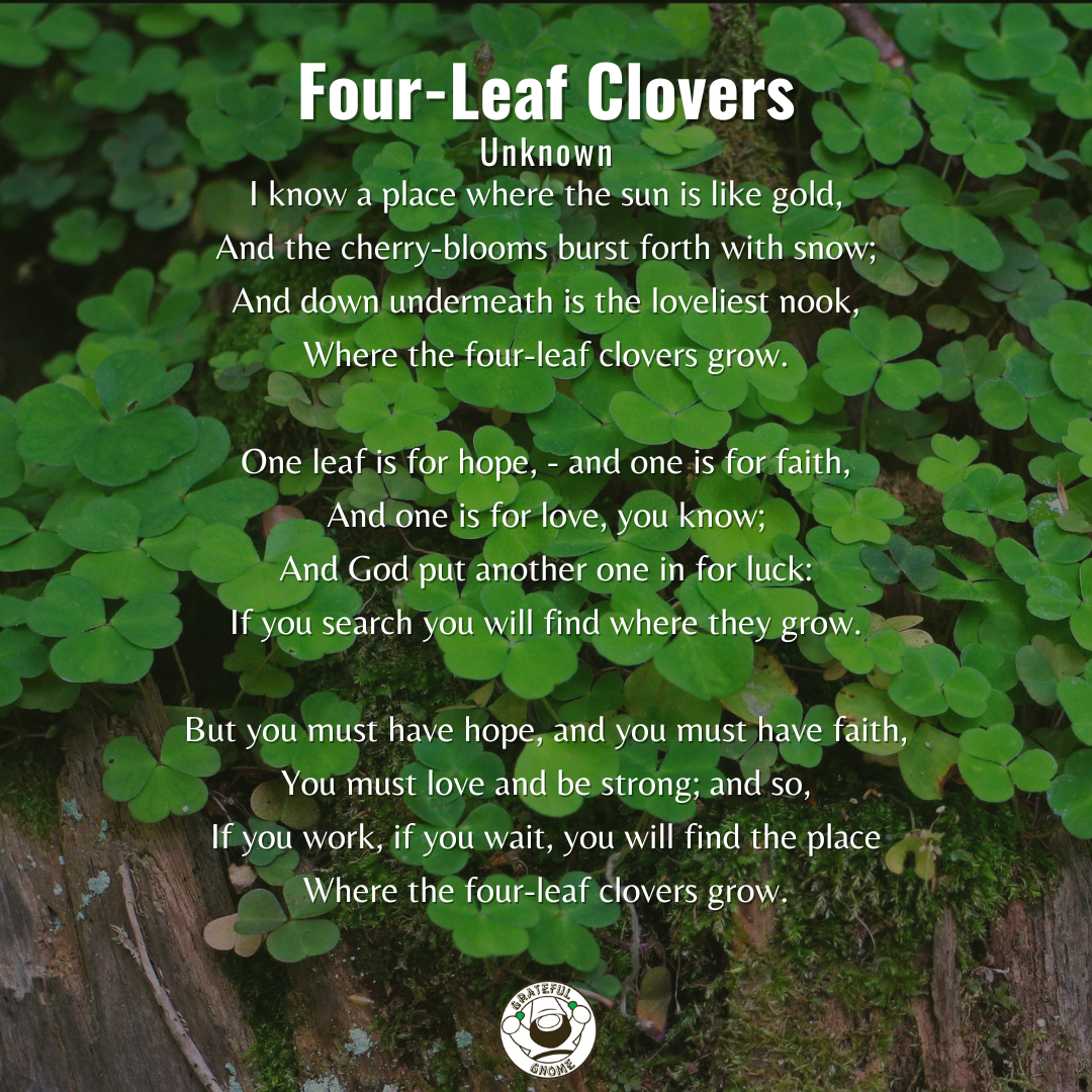 What Happens If I Find A Four Leaf Clover