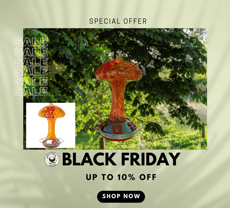 Black Friday Deals 10 Off Grateful Gnome black-friday-deals-10-off-grateful-gnome