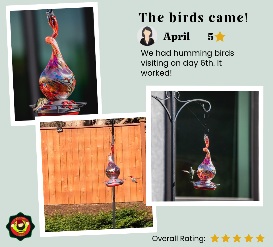 5 Star Hummingbird Feeder Review Grateful Gnome