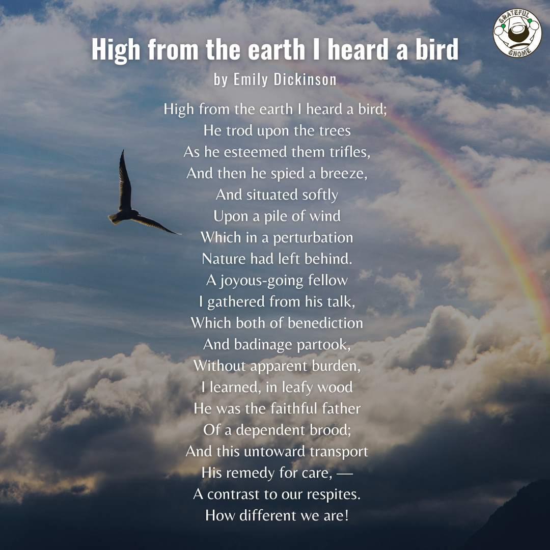 Bird Poems High From The Earth I Heard A Bird Grateful Gnome