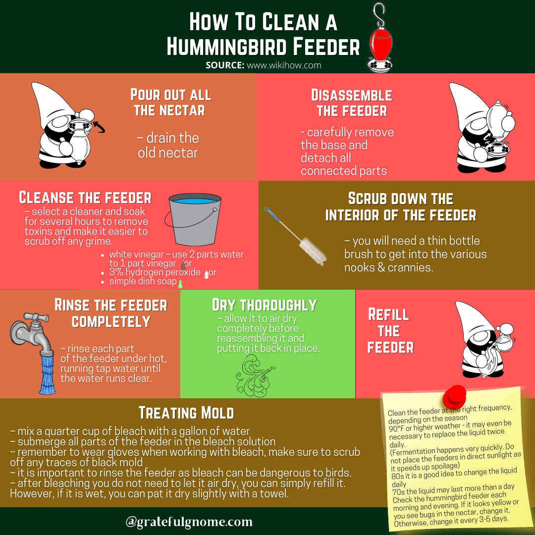 How To Clean A Hummingbird Feeder – Grateful Gnome