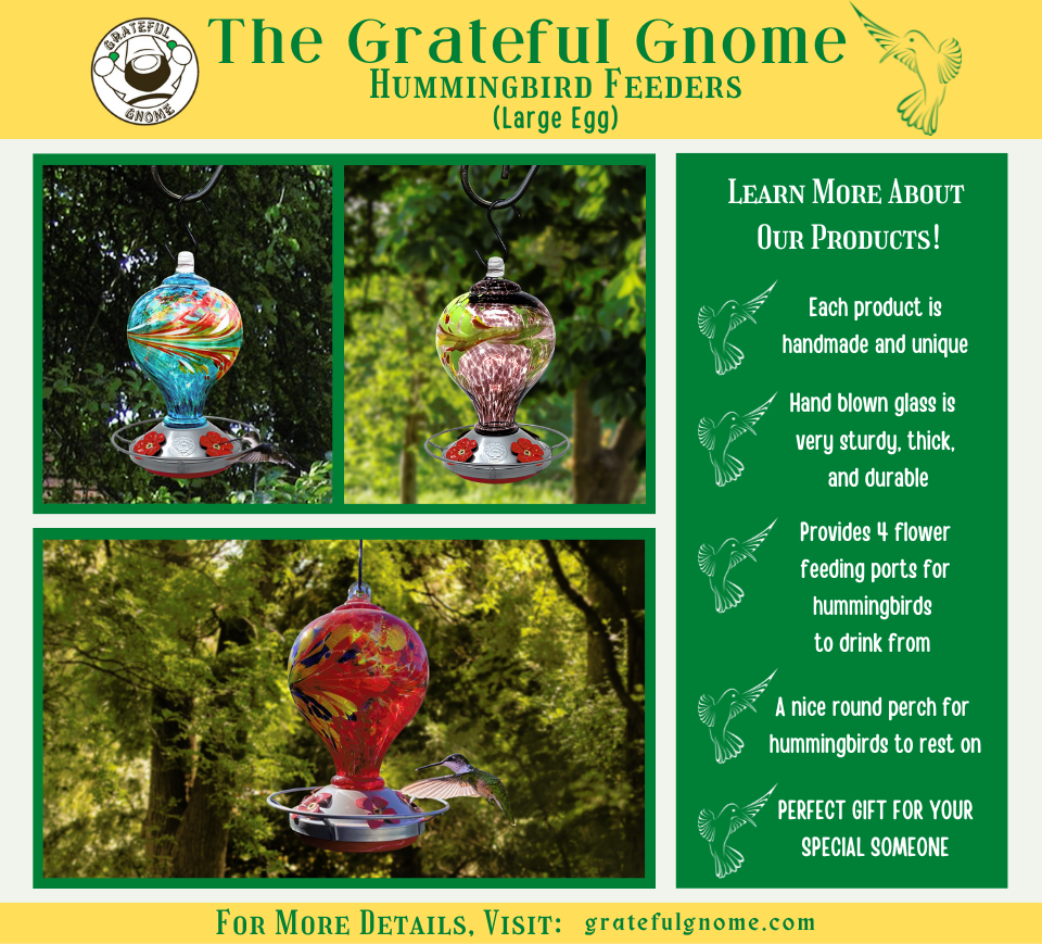 Large Egg Hummingbird Feeders Grateful Gnome