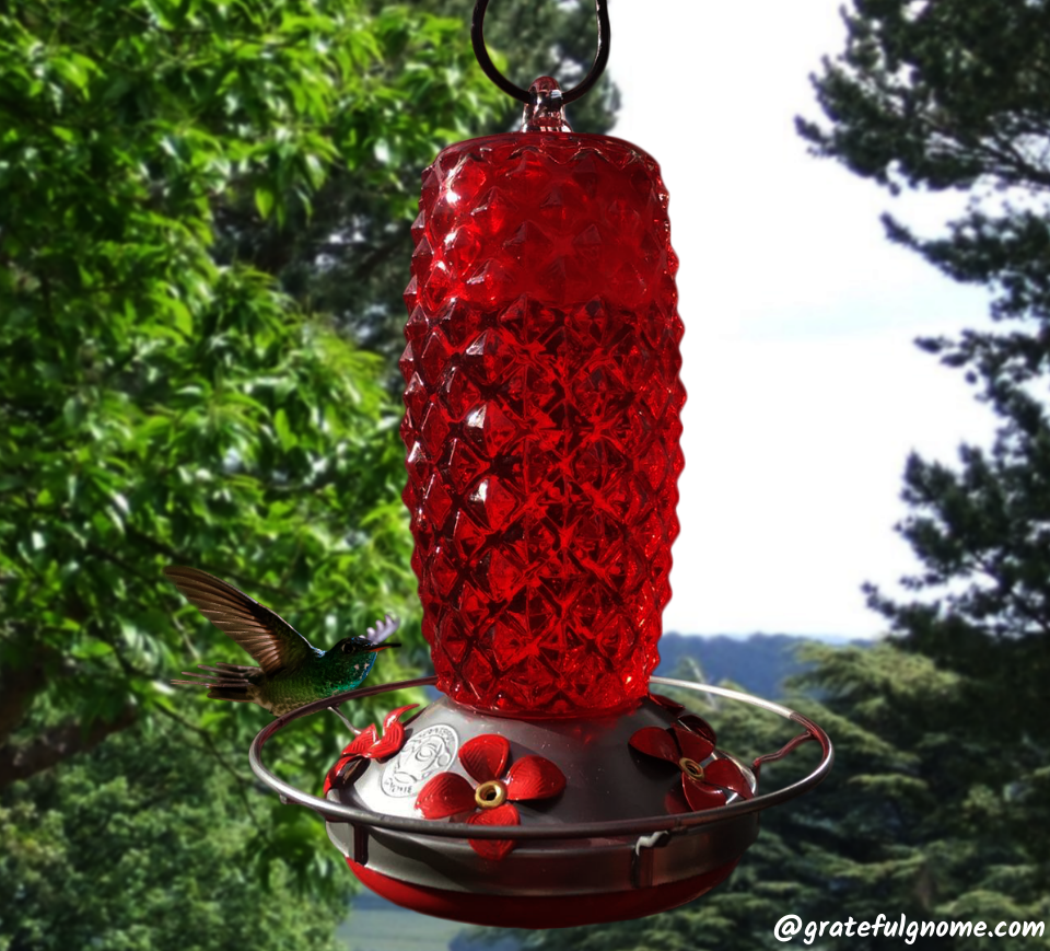 Attract Hummingbirds With A Hummingbird Feeder Grateful Gnome