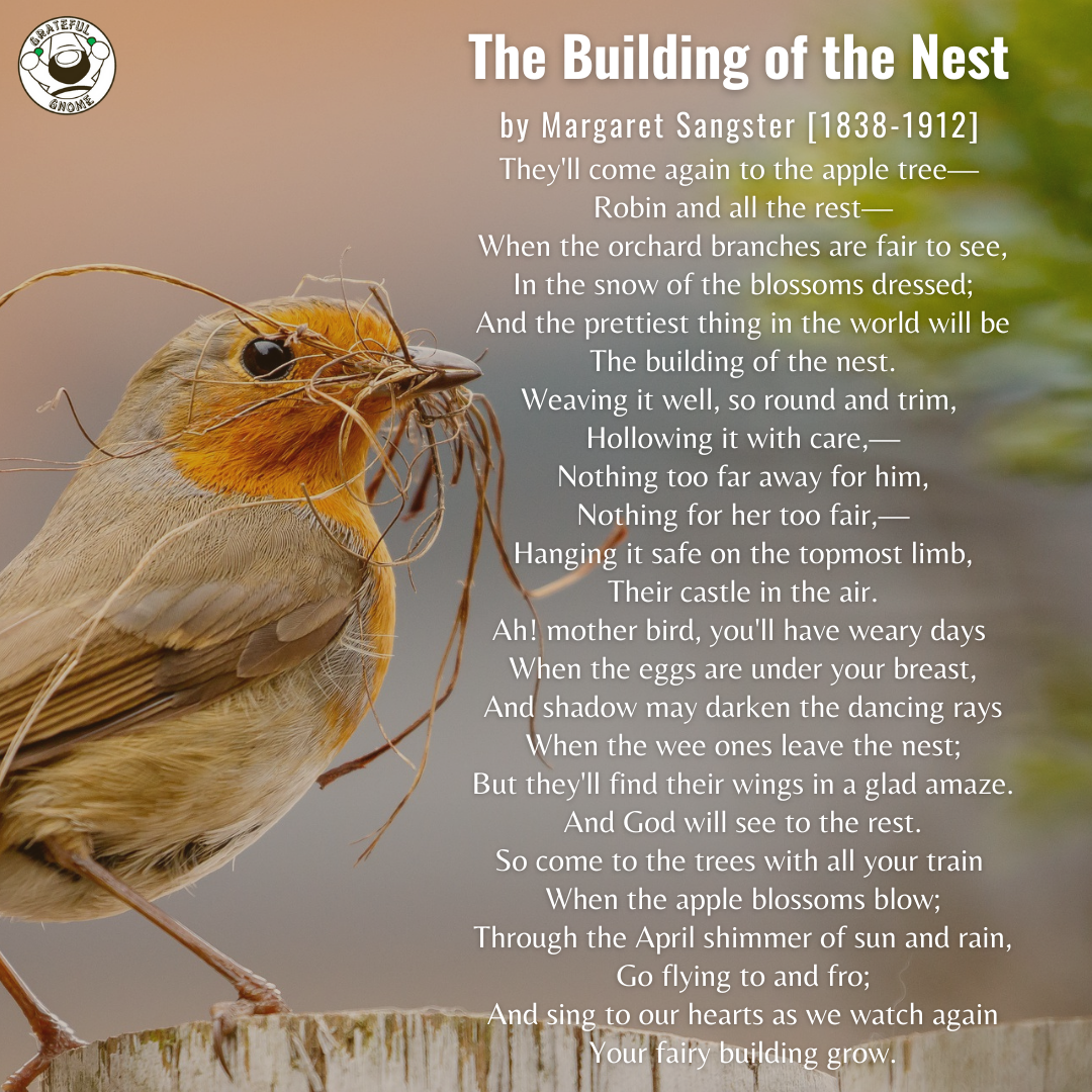 Bird Poems The Building Of The Nest Grateful Gnome