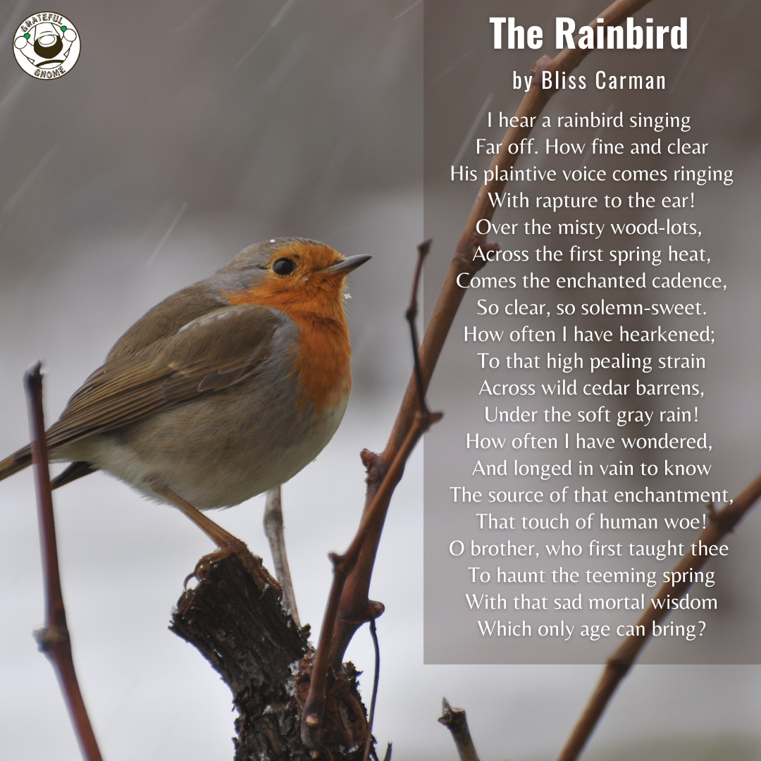 Bird Poems The Rainbird Grateful Gnome