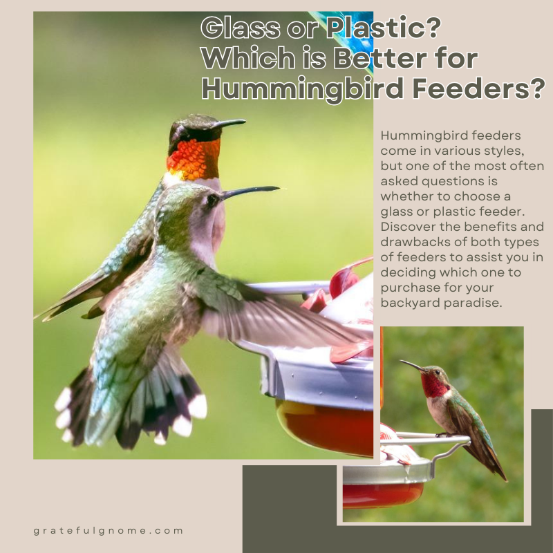 Glass or Plastic? Which is Better for Hummingbird Feeders? Grateful Gnome