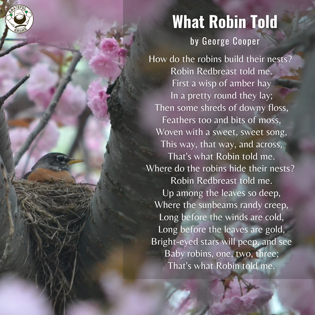 Bird Poems What Robin Told Grateful Gnome