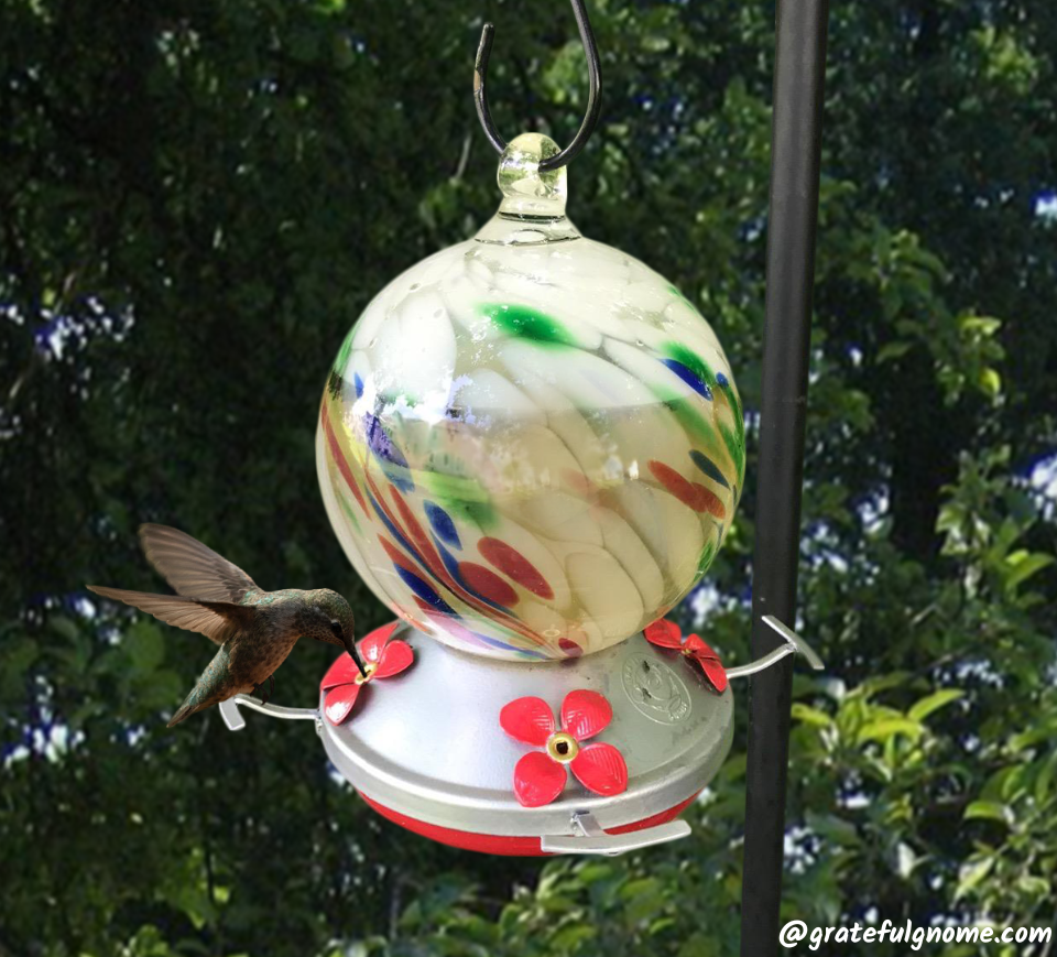 Beautiful Hummingbird Feeder Grateful Gnome