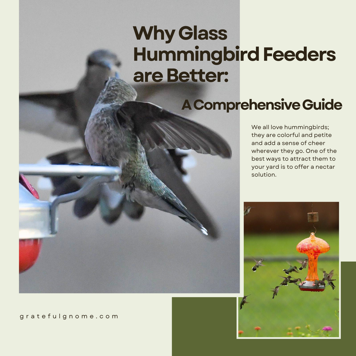 Why Glass Hummingbird Feeders are Better A Comprehensive Guide Grateful Gnome