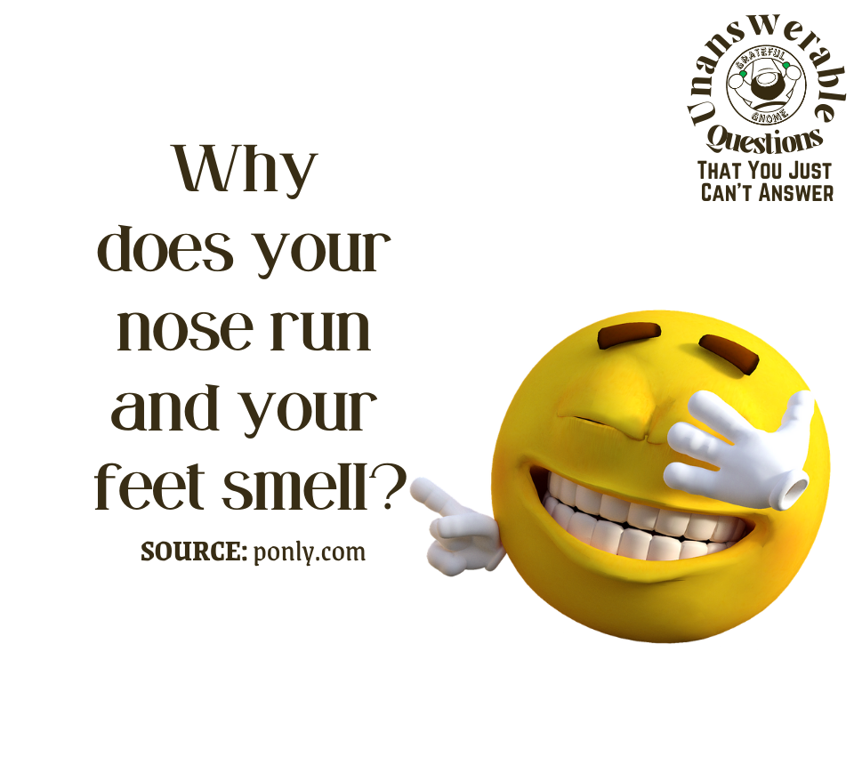 Unanswerable Questions Grateful Gnome