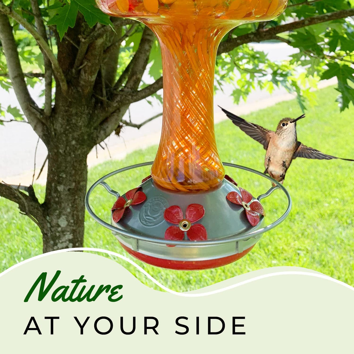 Red and Orange Mushroom Hummingbird Feeders 32 Fluid Ounces