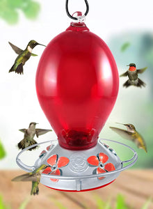Red Egg Hummingbird Feeder - Hand Blown Glass - 28 Fluid Ounces Hummingbird Feeders Grateful Gnome