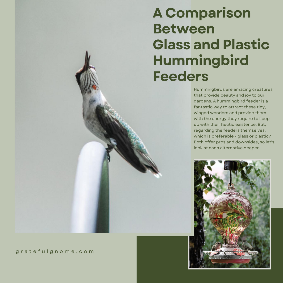A Comparison Between Glass and Plastic Hummingbird Feeders Grateful Gnome