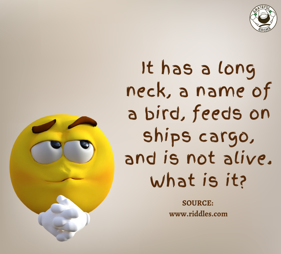 Riddle Time – Grateful Gnome