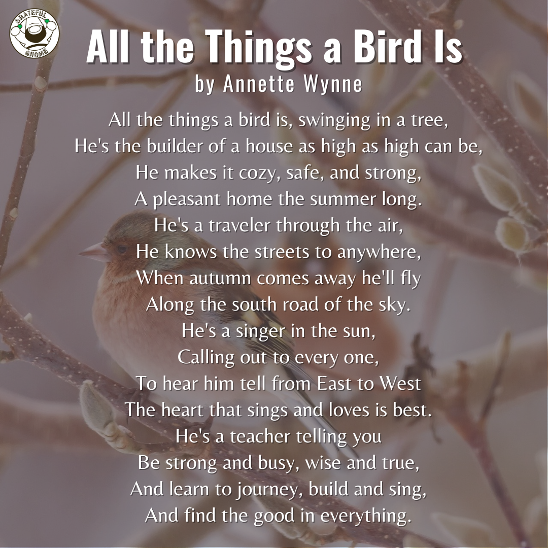 Bird Poems - All the Things a Bird Is – Grateful Gnome