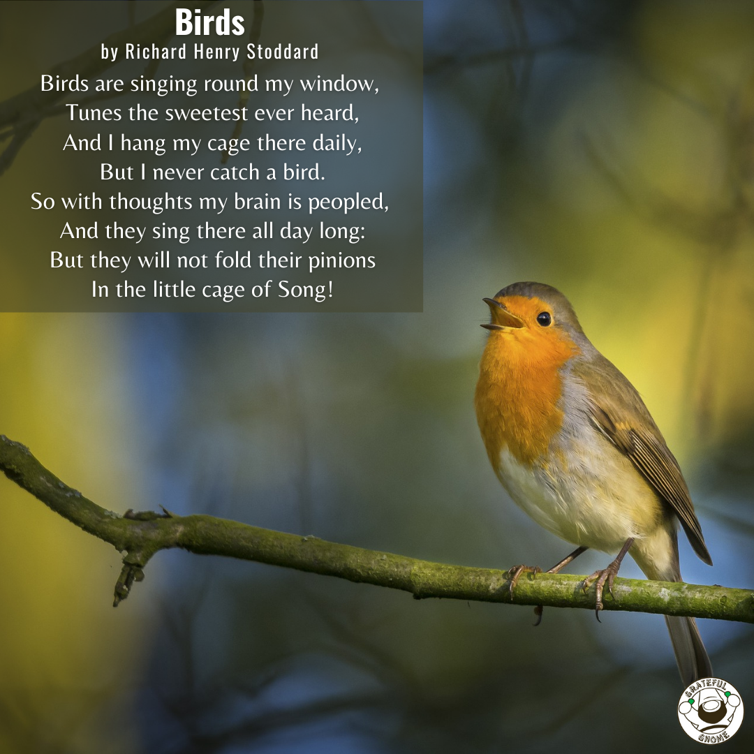 Bird Poems - Birds – Grateful Gnome