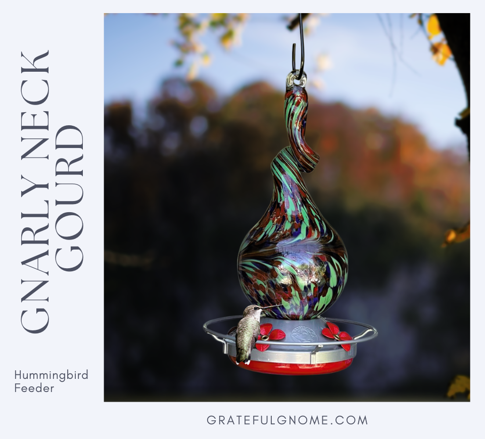 Gnarly Glass Neck Gourd Hummingbird Feeder – Grateful Gnome