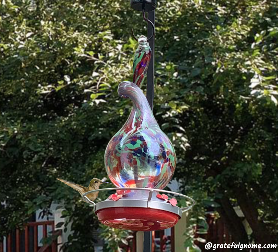 Attracting Hummingbirds with Hummingbird Feeders Grateful Gnome