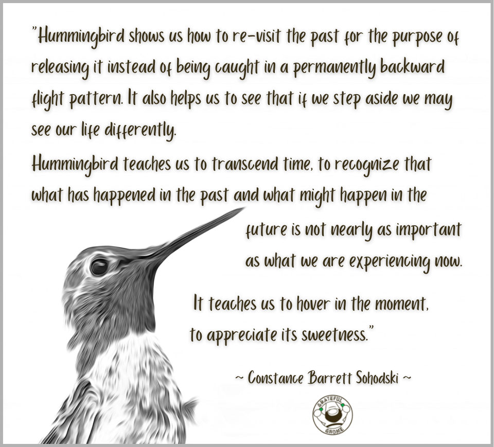 Hummingbird Quotes And Sayings – Grateful Gnome