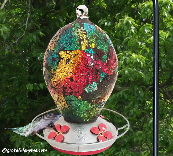 Best And Simplest Way To Attract Hummingbirds