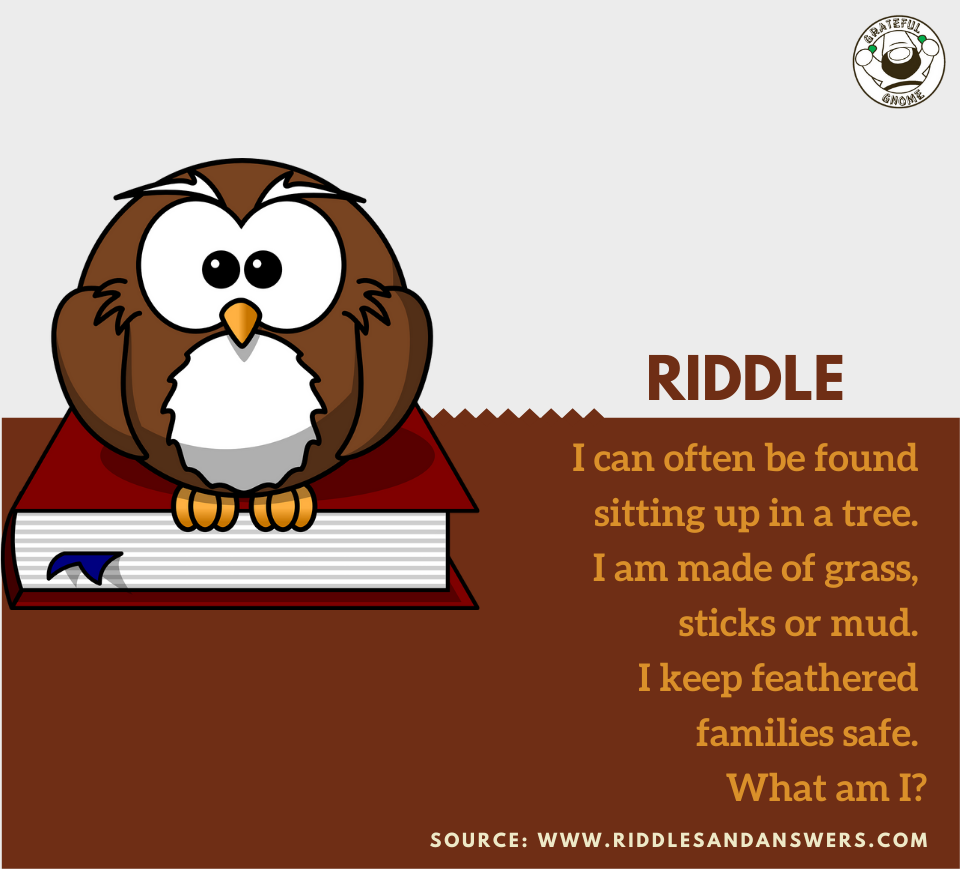 Riddle Time – Grateful Gnome