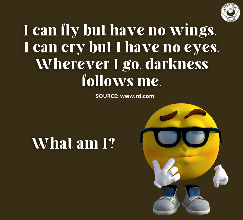 Riddles - Brain Teasers – Grateful Gnome