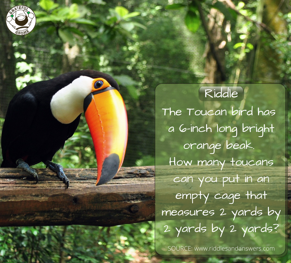 Riddle Time – Grateful Gnome