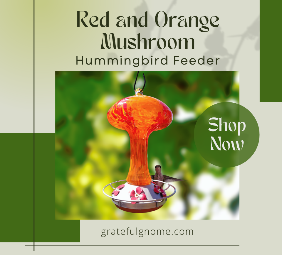 Red and Orange Mushroom Hummingbird Feeder Grateful Gnome
