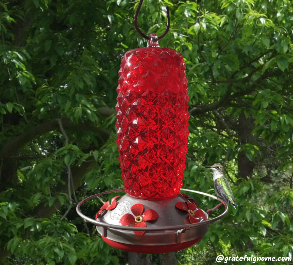 Renaissance Ruby Hummingbird Feeder – Grateful Gnome