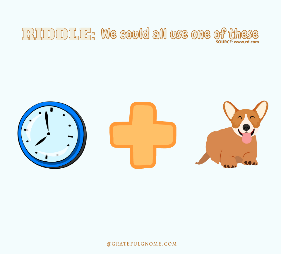 Riddles - Brain Teasers – Grateful Gnome