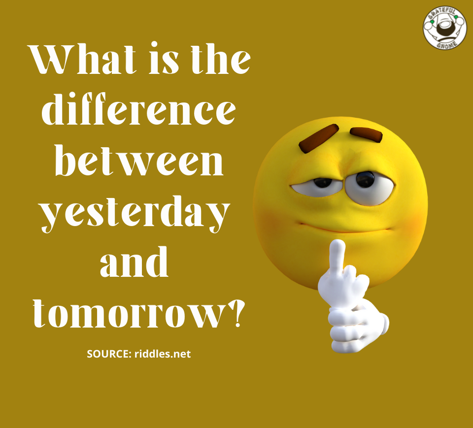 Riddles - Brain Teasers – Grateful Gnome