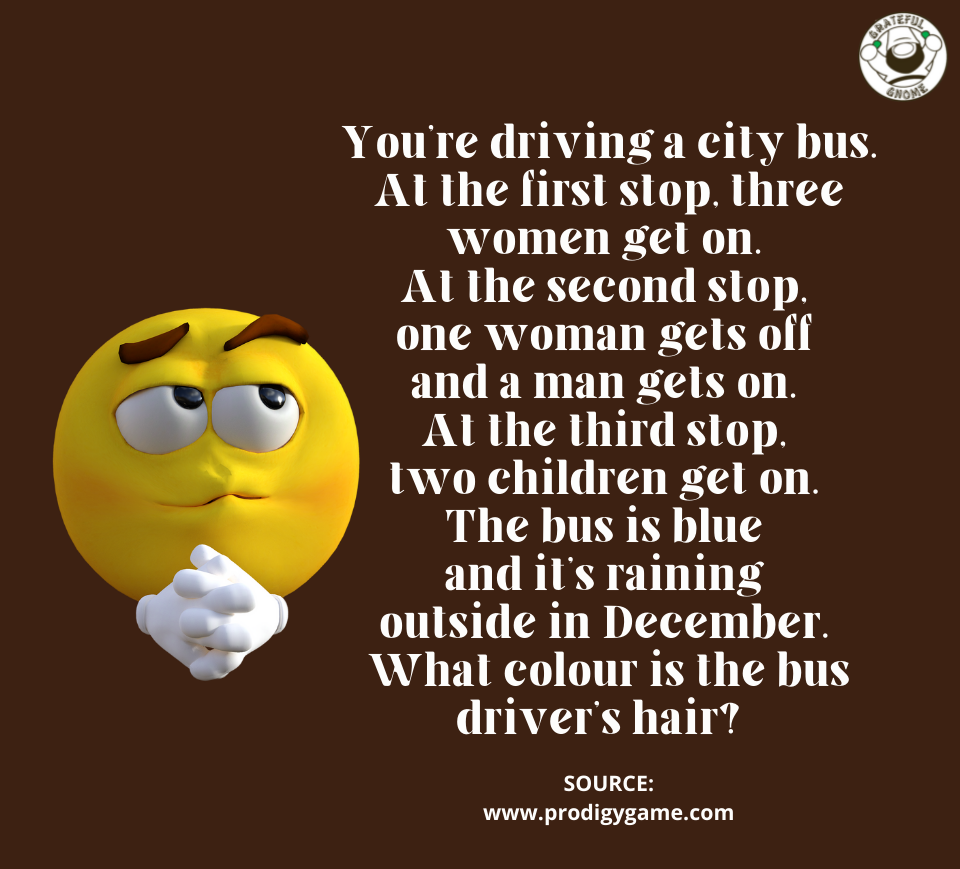 Riddles - Brain Teasers – Grateful Gnome