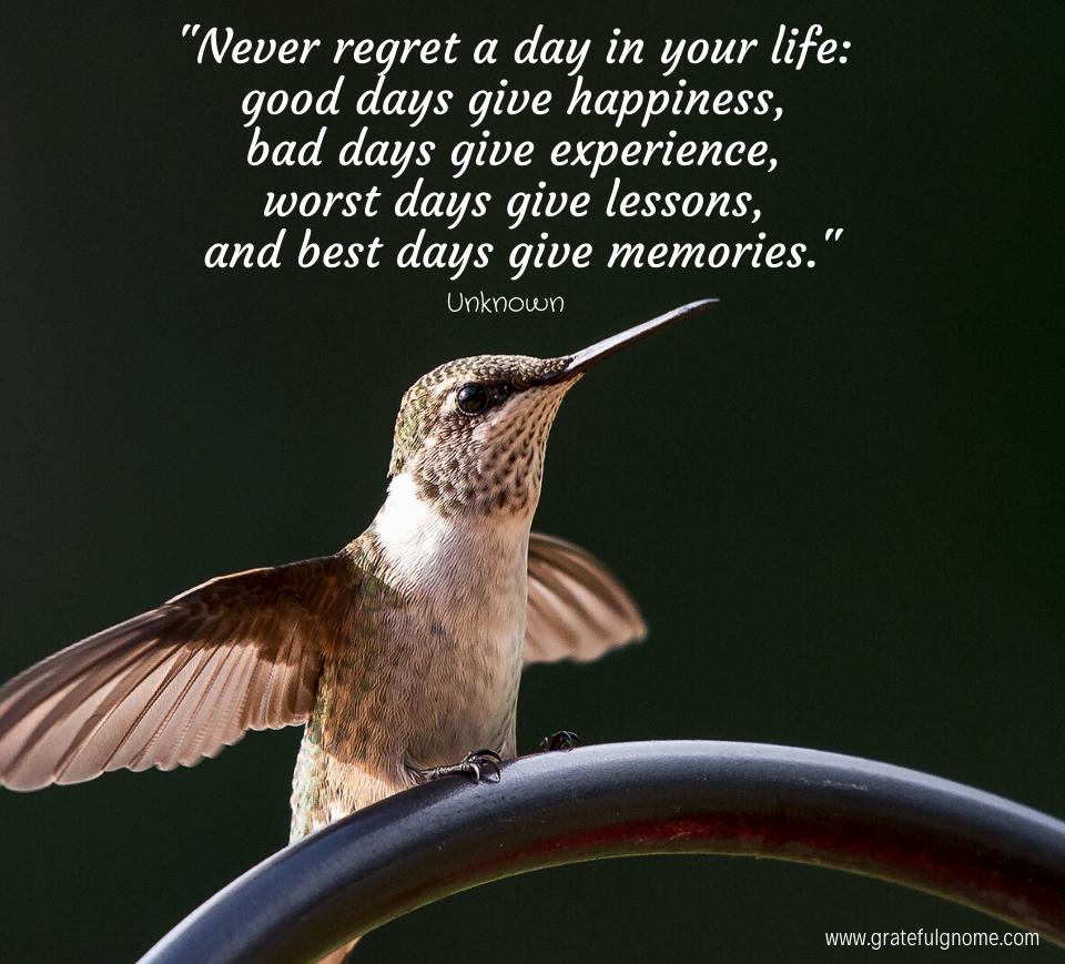 quote about life lessons
