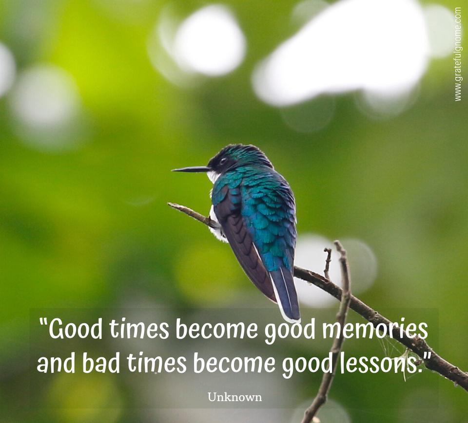 Inspiring Quotes & Life Lessons – Grateful Gnome