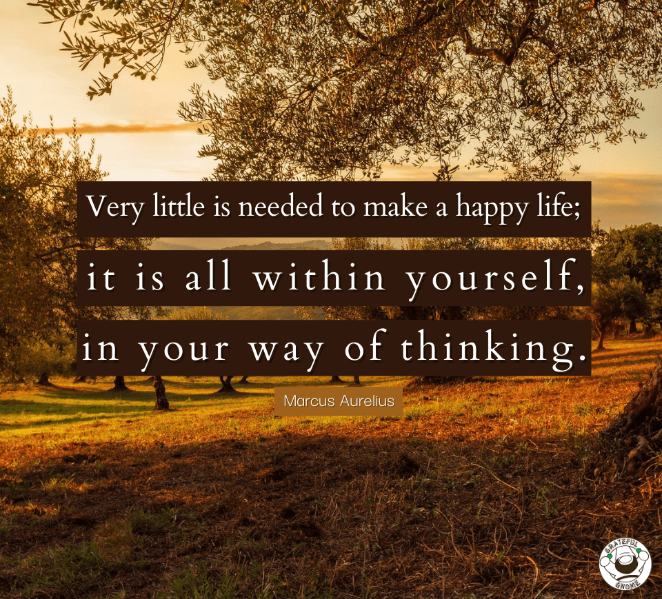Life Quotes – Grateful Gnome
