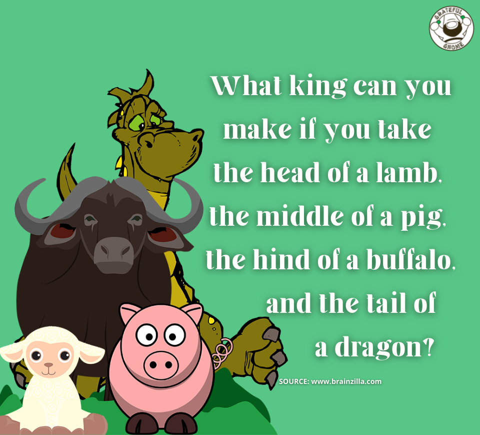 Riddles - Brain Teasers – Grateful Gnome