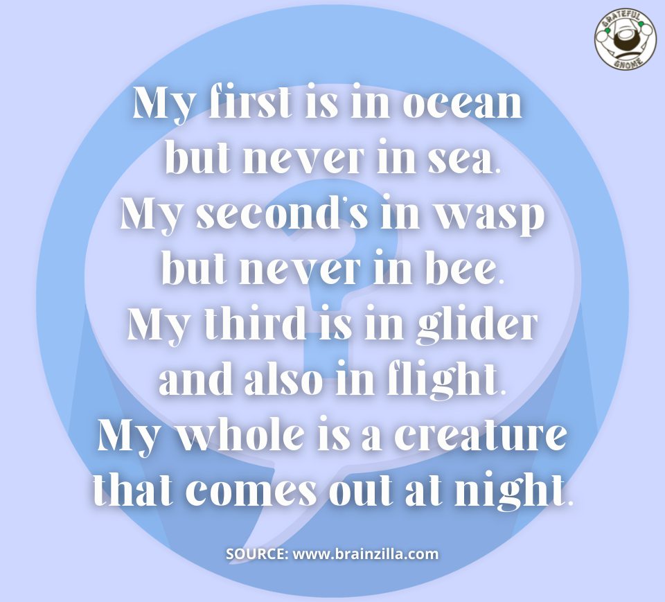 Riddles - Brain Teasers – Grateful Gnome