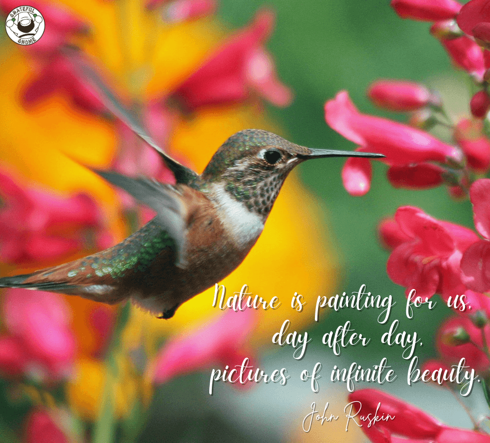 Buy Cialis Online Australia With Paypal