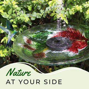 Red Ruby Flower Bird Bath with Stand and Solar Fountain