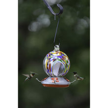 Load image into Gallery viewer, Flower Globe with Window Hummingbird Feeder 24floz