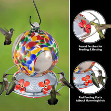 Load image into Gallery viewer, Flower Globe with Window Hummingbird Feeder 24floz