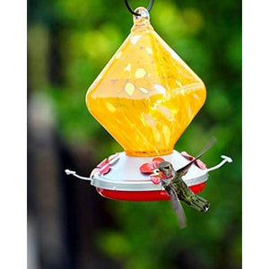 Orange Sugar Cube Hummingbird Feeder - 18 floz