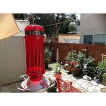 Load image into Gallery viewer, Antique Bottle Red Glass Hummingbird Feeder with Metal Clamp Hanger - 28 Fluid Ounces Hummingbird Feeders Grateful Gnome 