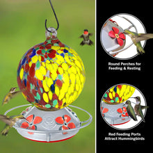 Load image into Gallery viewer, Half Yellow Flowers and Half Wild Flowers Globe Hummingbird Feeder - 24 Fluid Ounces