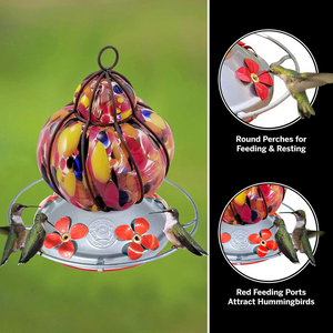 Caged Flower Hummingbird Feeder - Hand Blown Glass - 16 Fluid Ounces Hummingbird Feeders Grateful Gnome